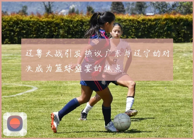 辽粤大战引发热议广东与辽宁的对决成为篮球盛宴的焦点