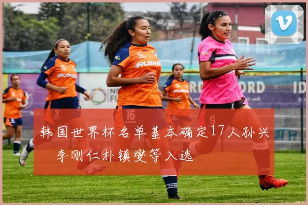 韩国世界杯名单基本确定17人孙兴慜李刚仁朴镇燮等入选