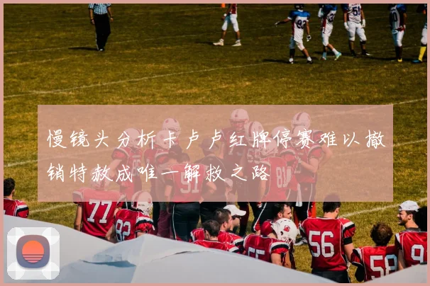 慢镜头分析卡卢卢红牌停赛难以撤销特赦成唯一解救之路