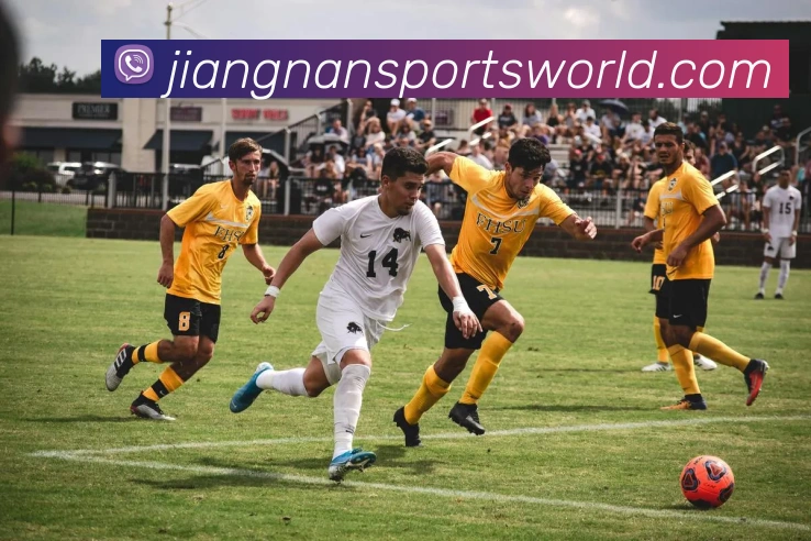 数据防护可视化